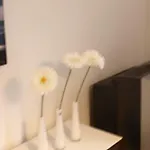 Appartement Grau Im Gruenen Mönchengladbach