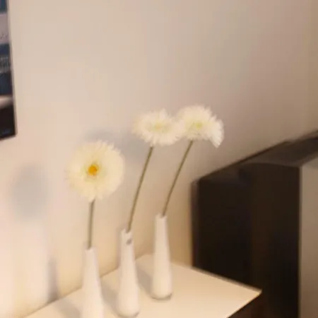 Апартаменты Grau Im Gruenen Мёнхен-Гладбах